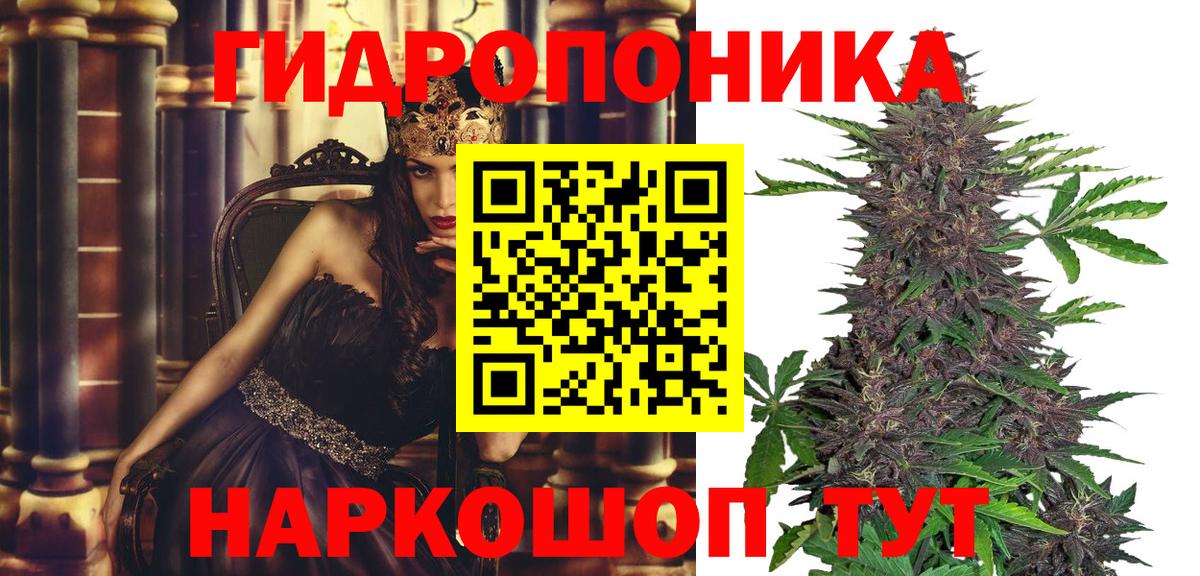 Бошки Шишки план Советский